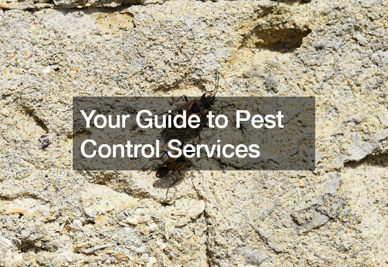 Your Guide to Pest Control Services